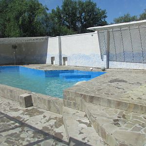 New polar bear exhibit