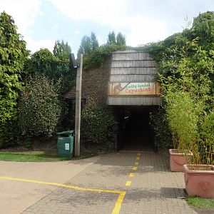 Colchester Zoo (Design): Buffy-headed Capuchin House