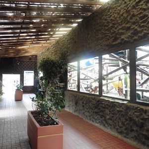 Colchester Zoo (Design): Buffy-headed Capuchin House