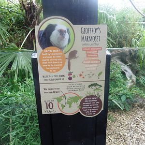 Example of Colchester Zoo interpreation boards