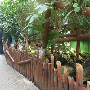 Iguana Forest House