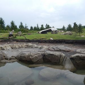 8/11/2018 - Polar Bear Habitat