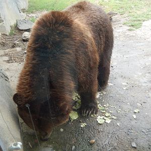 8/11/2018 - Chowin' Down