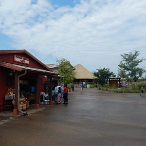8/11/2018 - Mudiwa Village