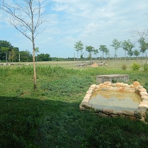 8/11/2018 - A Dramatic African View