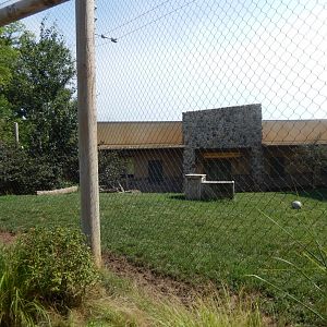 8/11/2018 - Cheetah Exhibit