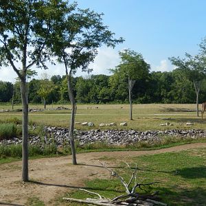 8/11/2018 - Breathtaking