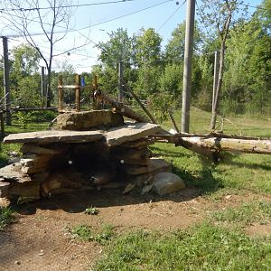 8/11/2018 - Cougar Exhibit