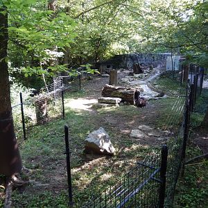 8/11/2018 - Beaver Exhibit