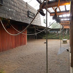 8/11/2018 - Bat Exhibit