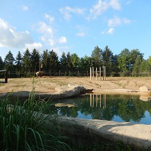 8/11/2018 - Asian Elephant Habitat
