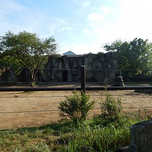 8/11/2018 - Asian Elephant Habitat