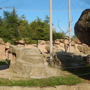 8/11/2018 - Markhor Exhibit