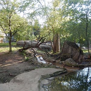 8/11/2018 - Amur Tiger Habitat