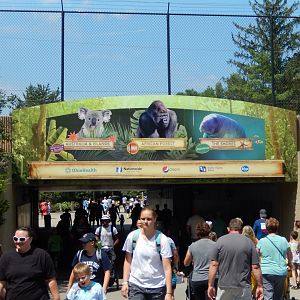 8/12/2018 - Tunnel to the Back Half