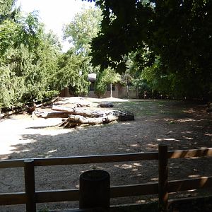 8/12/2018 - Aldabra Tortoise Exhibit