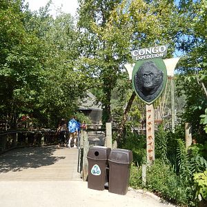 8/12/2018 - Congo Expedition Entry
