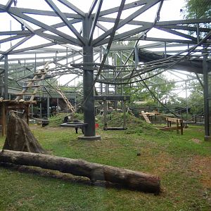 8/12/2018 - Gorilla Habitat