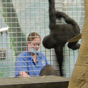 8/12/2018 - Training Zahra