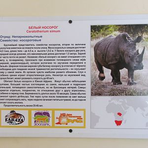 White rhino signage