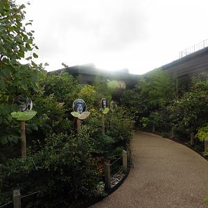 Chimpanzee Lookout entrance