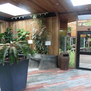 Chimpanzee Lookout Foyer