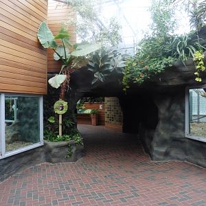 Chimpanzee Lookout interior
