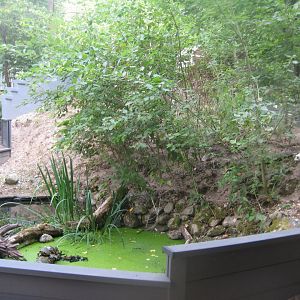 Terrariet Vissenbjerg - Euarium - Red-eared slider exhibit