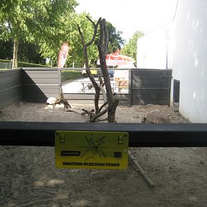 Terrariet Vissenbjerg - Euarium - Meerkat/tortoise exhibit (outdoor)