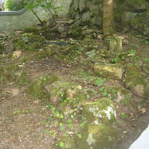 Terrariet Vissenbjerg - Euarium - North American exhibit