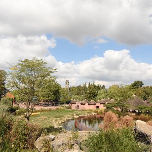 View on Hyena enclosure