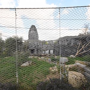 Javan leopard enclosure