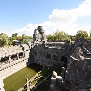 White tiger enclosure