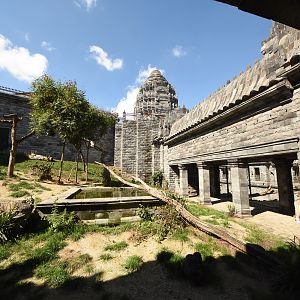 White tiger enclosure