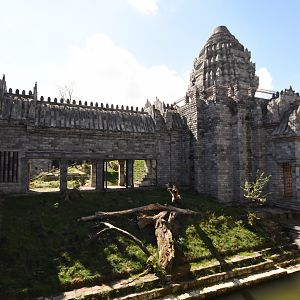 White tiger enclosure