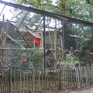 Saki - Agouti-enclosure