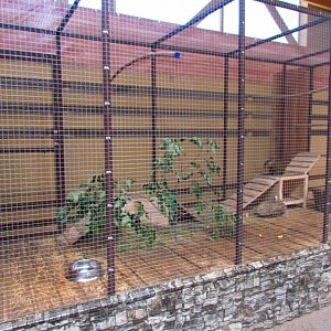 Exotarium, 2nd agouti exhibit