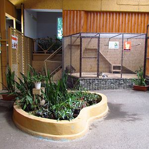 Exotarium interior, domestic rabbit exhibit