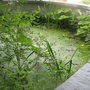 Terrariet Vissenbjerg - Euarium - Snake/turtle exhibit