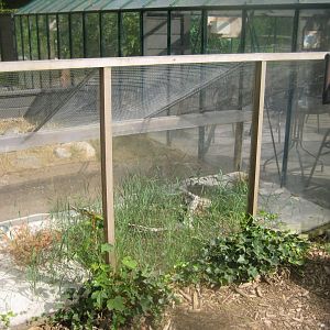 Terrariet Vissenbjerg - Euarium - Sand viper exhibit