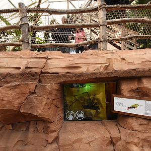 Oasis tropical hall - Hummingbird aviary