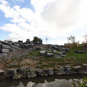 Chinese garden - Takins