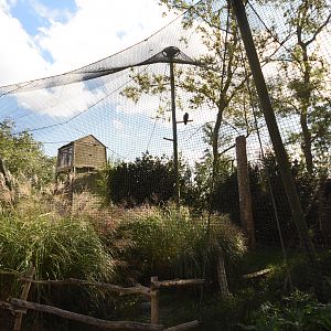 Raptor aviary