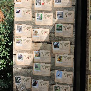 Bird-signs at the Buffalo-aviary