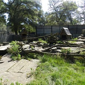 Wolves enclosure