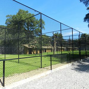 New aviaries