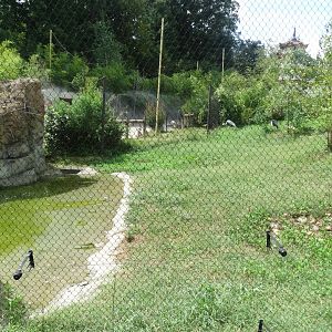 Sep. 2018 - Asian Trek - White-naped Crane Exhibit