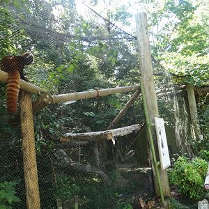 Sep. 2018 - Red Panda Village - Left Red Panda Exhibit