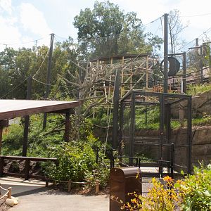 Sep. 2018 - Asian Trek - Silvered Leaf Langur Exhibit