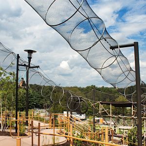 Sep. 2018 - Asian Trek - Gibbon Trails/Langur Landing Tunnel System